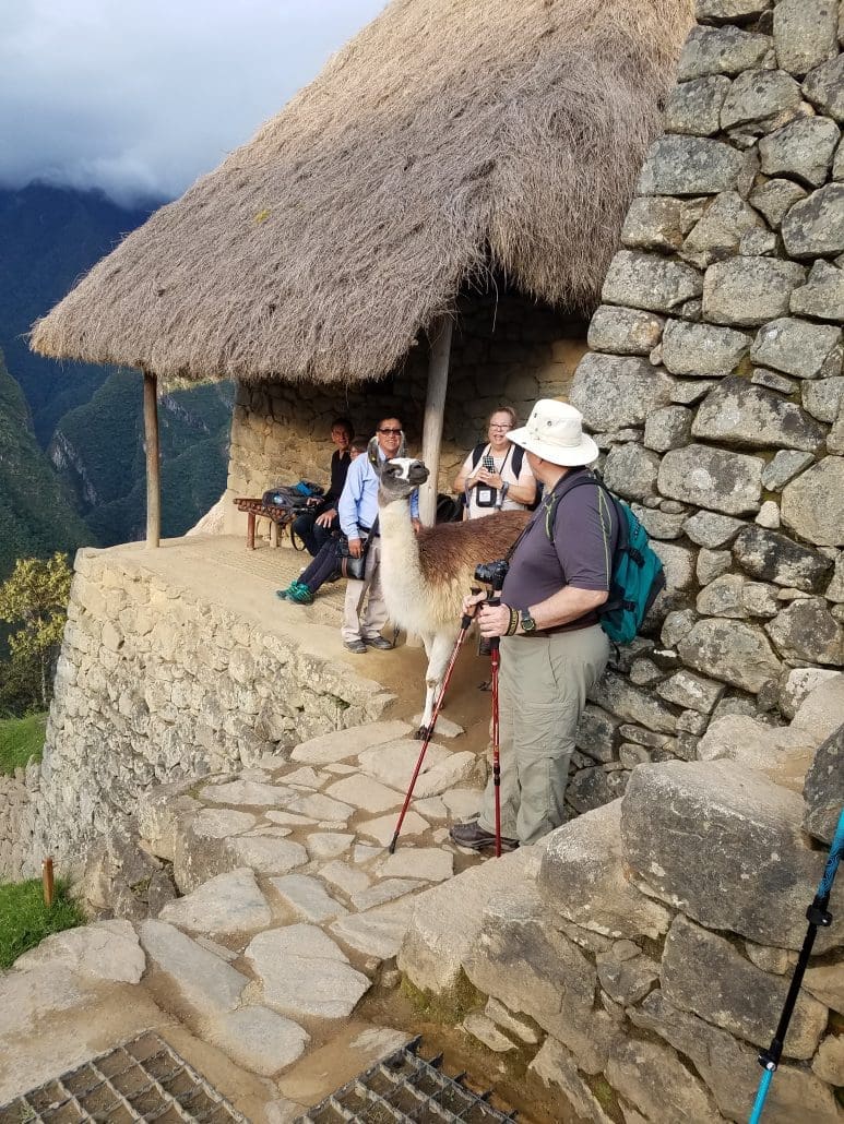 Travel Leaders