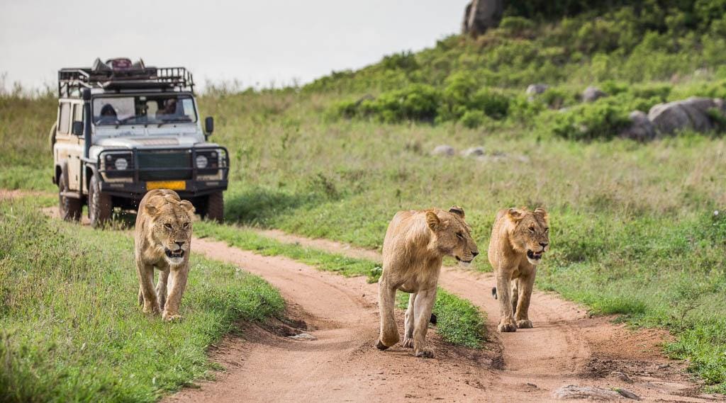 Travel Leaders