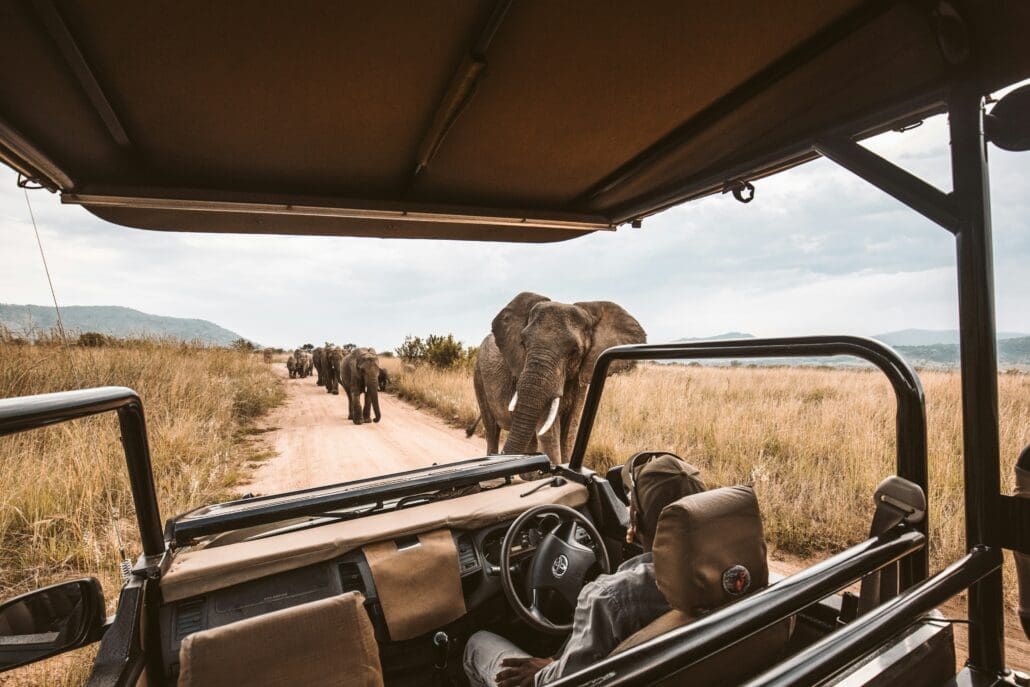 Travel Leaders